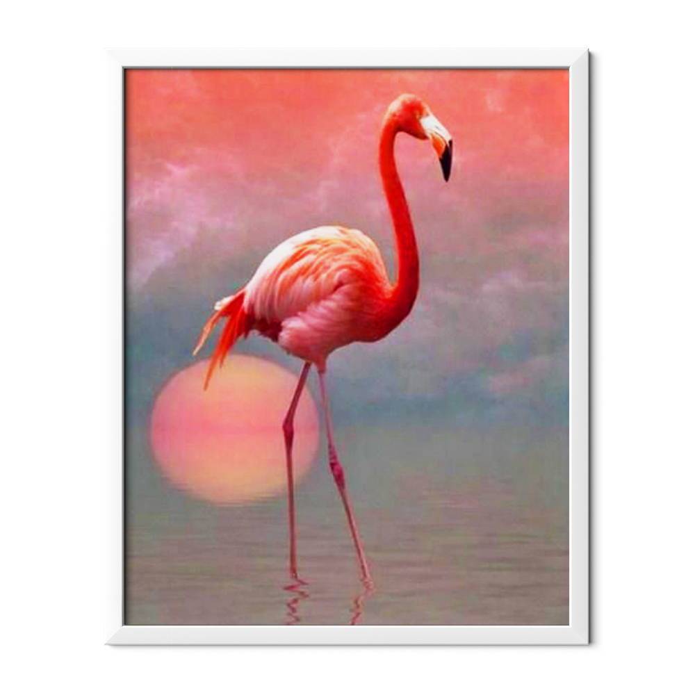 Flamingo solitário