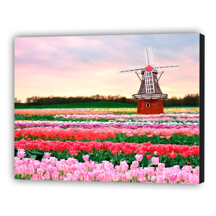 Flores da Holanda