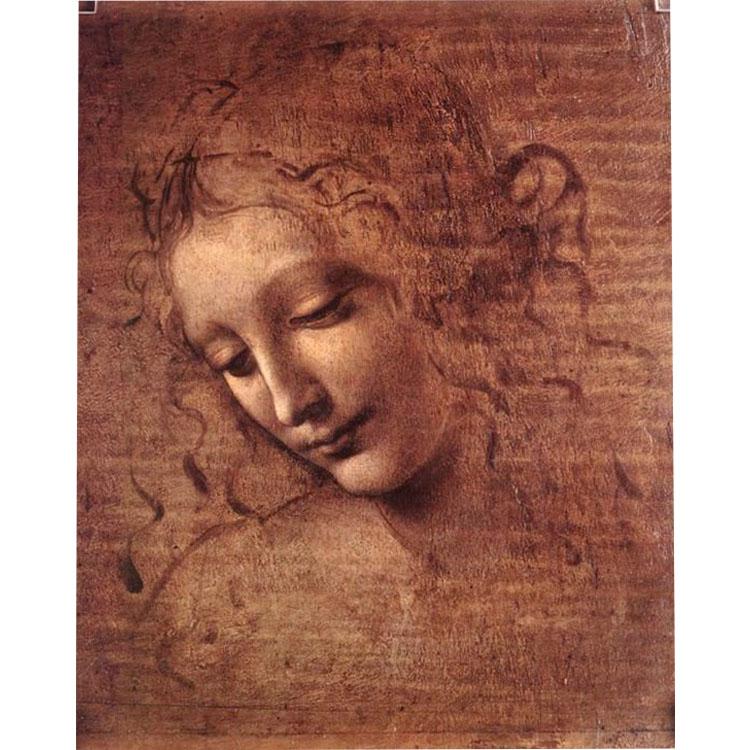 Leonardo da Vinci "cabeça"