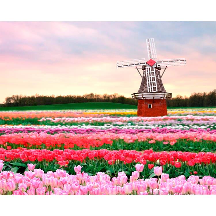 Flores da Holanda