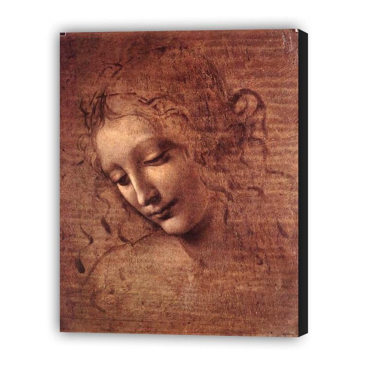 Leonardo da Vinci "cabeça"