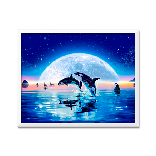 Céu noturno e baleias assassinas