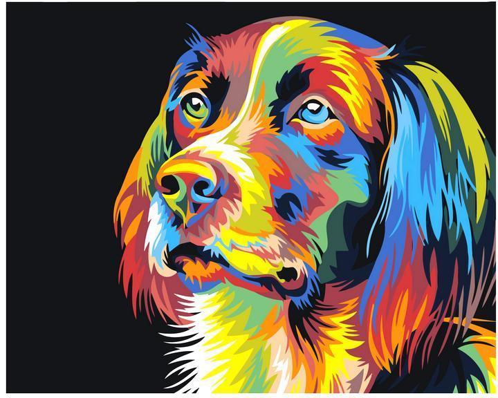 Cachorro colorido
